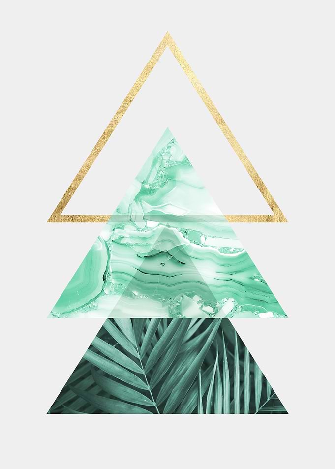 botanical polygon I