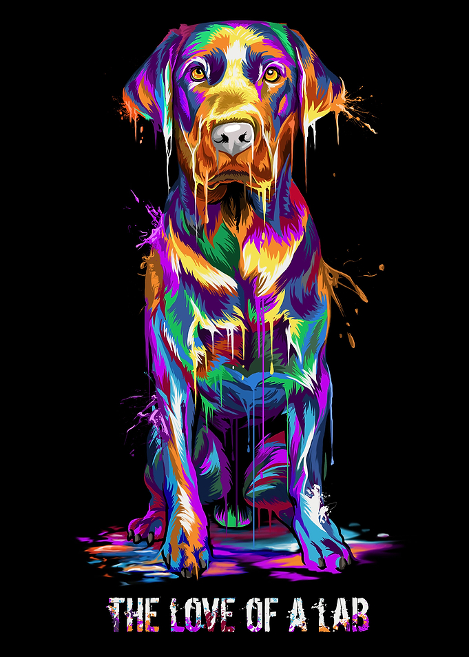 Labrador Love Splash