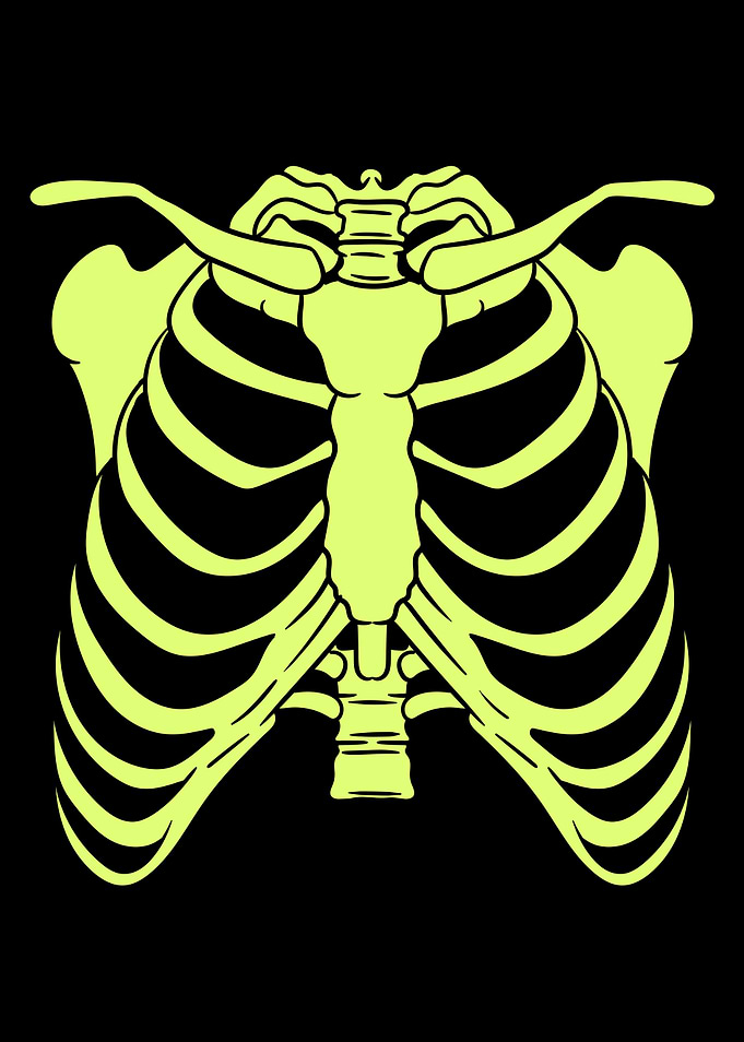 Halloween Skull Cartilage
