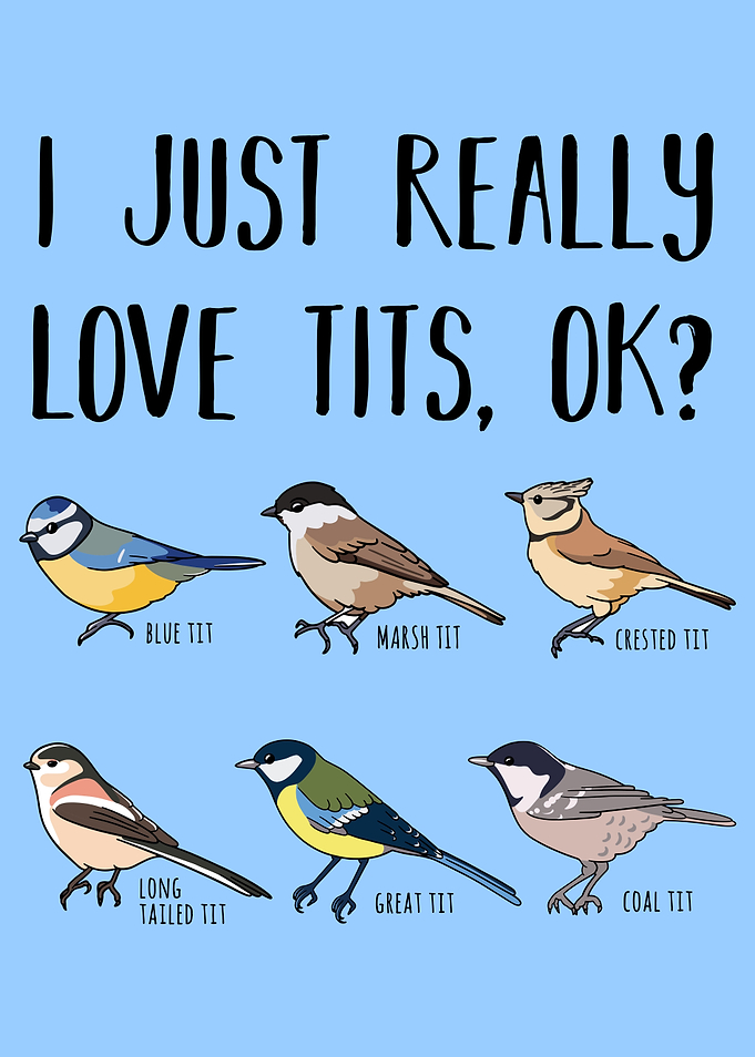 Funny Bird watching Gift
