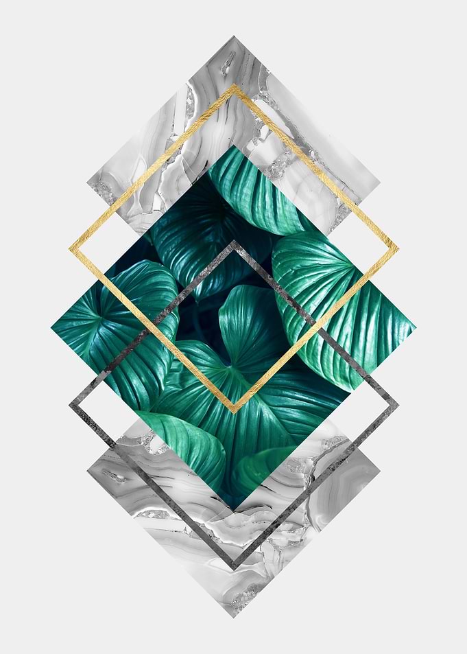 botanical polygon III