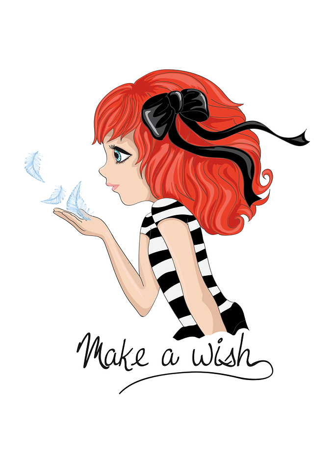 Make a Wish
