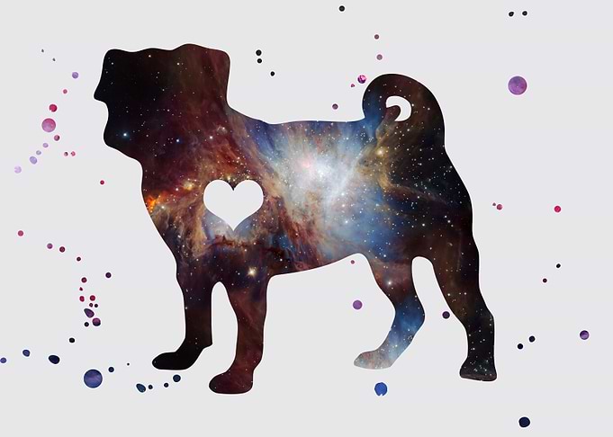 Pug Nebula