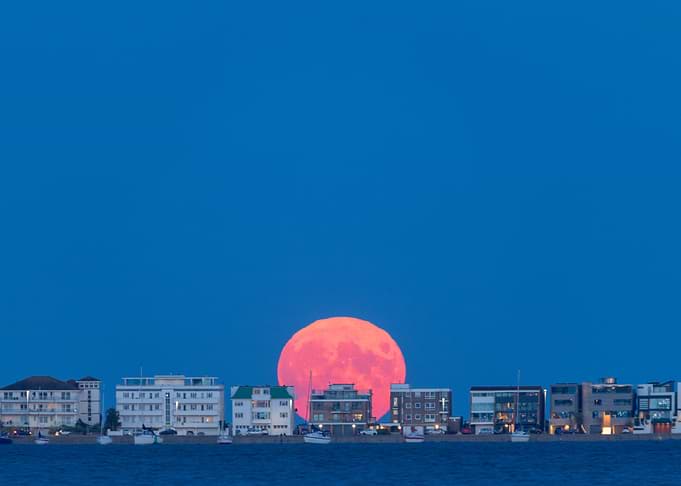 Millionaire Moon