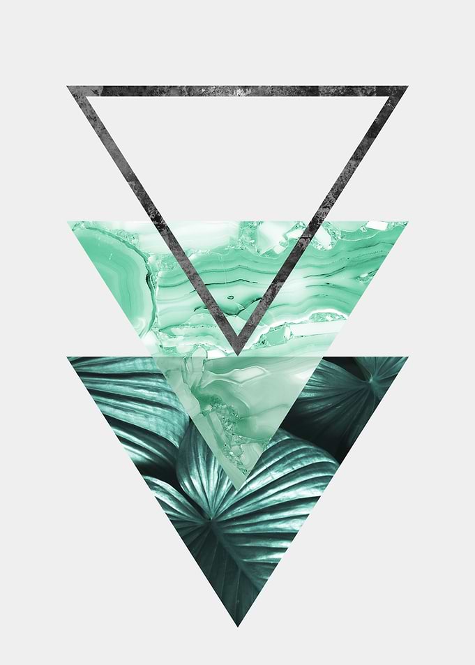 botanical polygon VIII