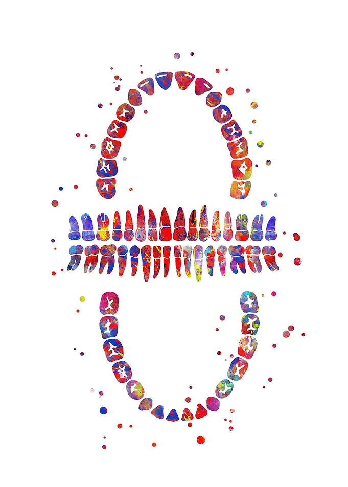 Tooth chart