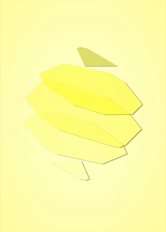 Exploration in Slices Vi