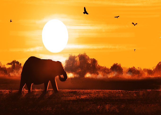 Africa