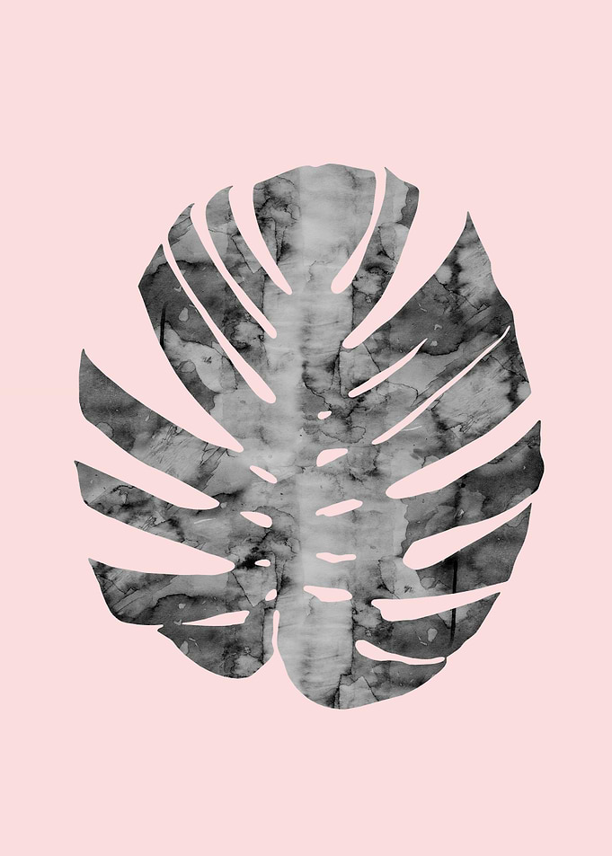 Tropical plant II