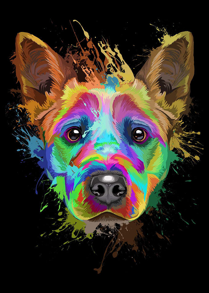 Cattle Dog Splash