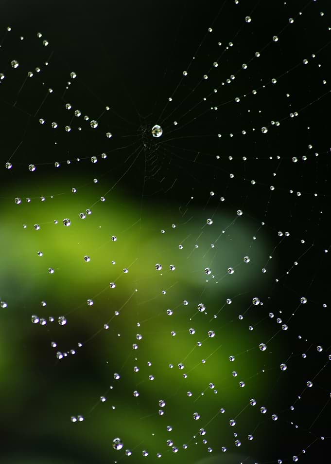 Raindrops Suspended