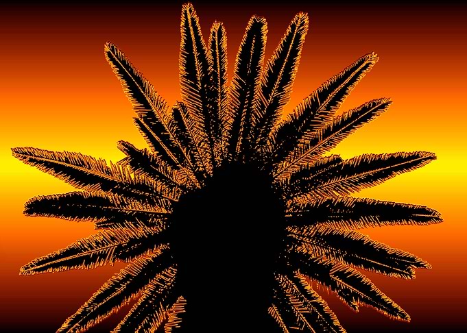 Tropical palm