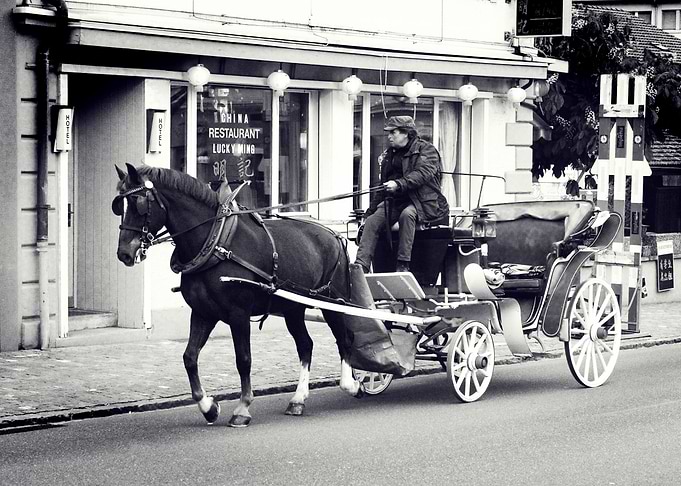 Horse Carriage