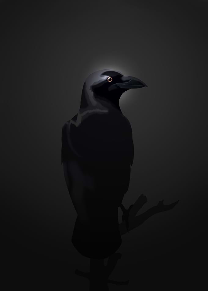 Watching you