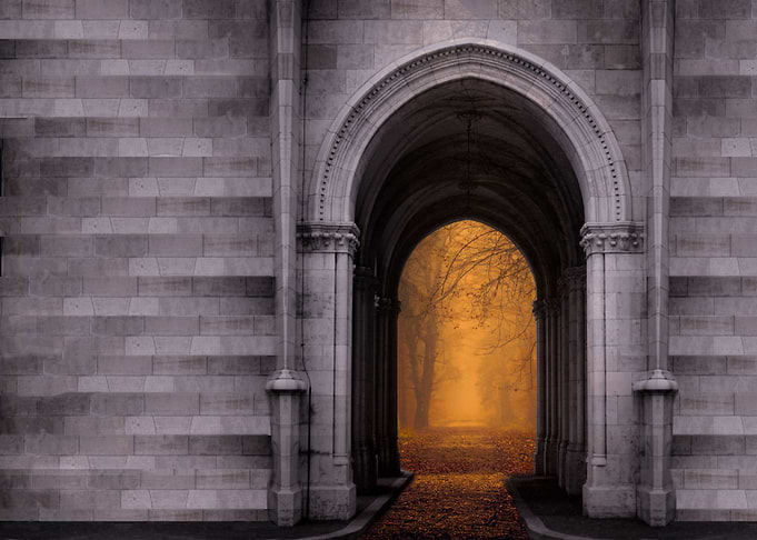 Forest Arch