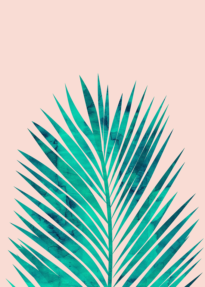 Tropical plant IV