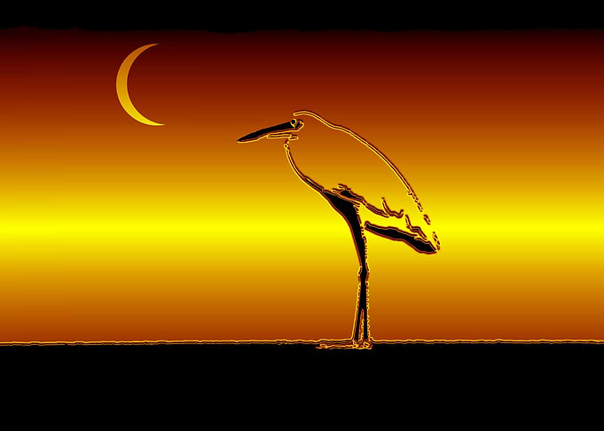 Egret and the Moo