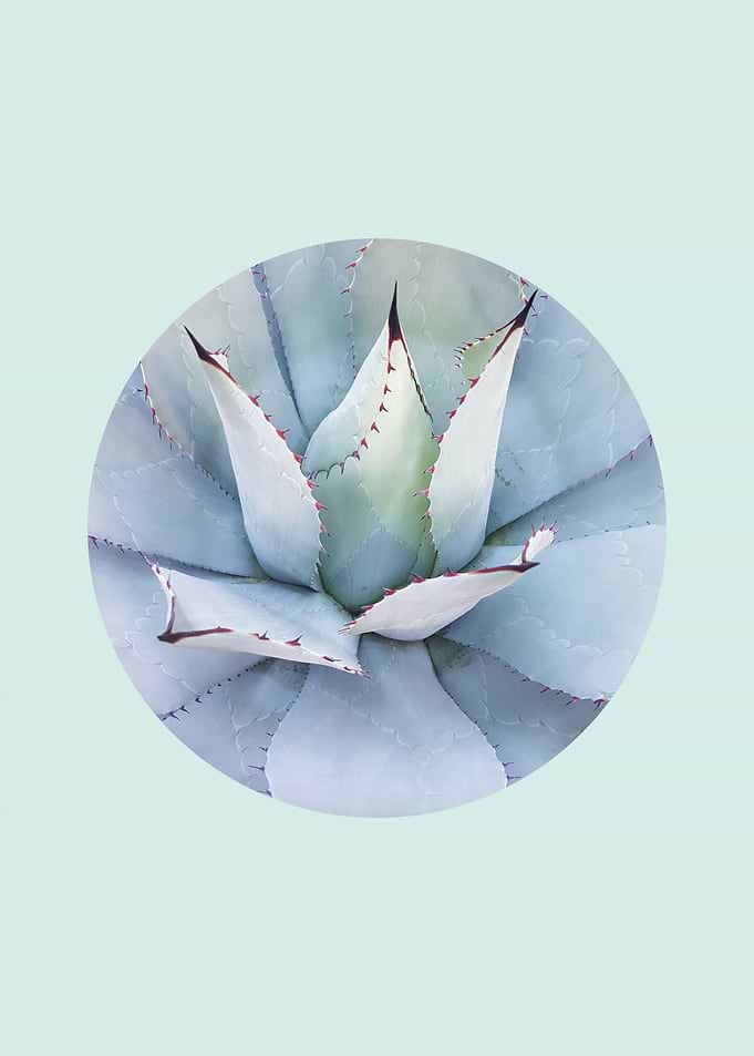 botanical polygon VII