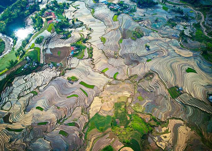 Rice terraces in Vietnam