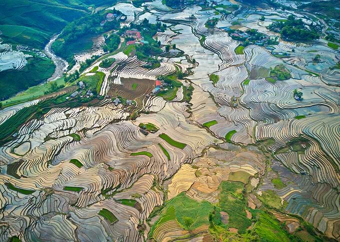 Aerial view rice terraces