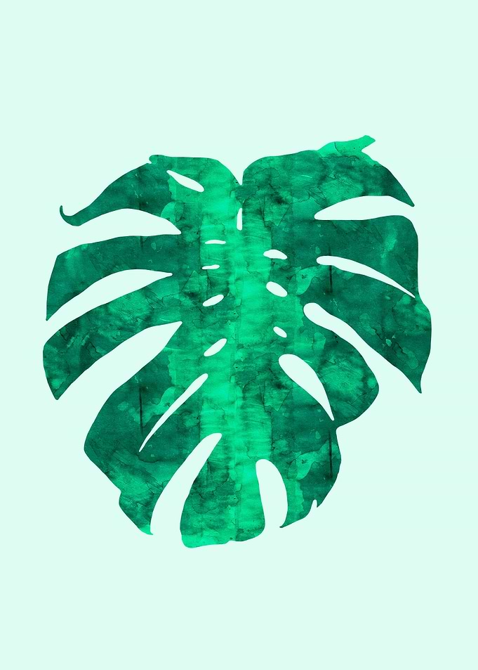 Tropical plant V