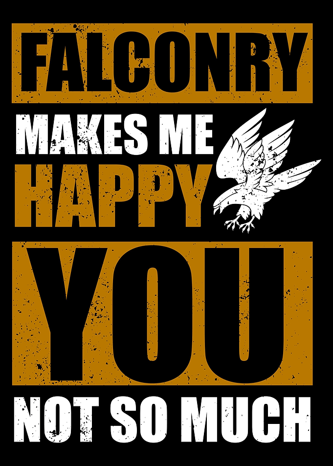 Falconry Falcon Bird Lover