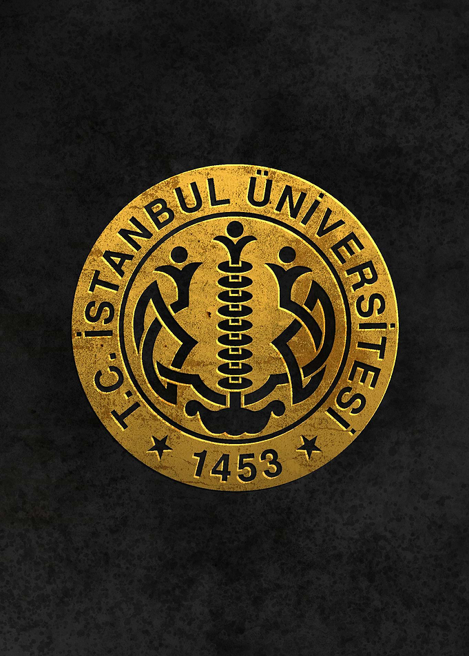 Istanbul University Turkie