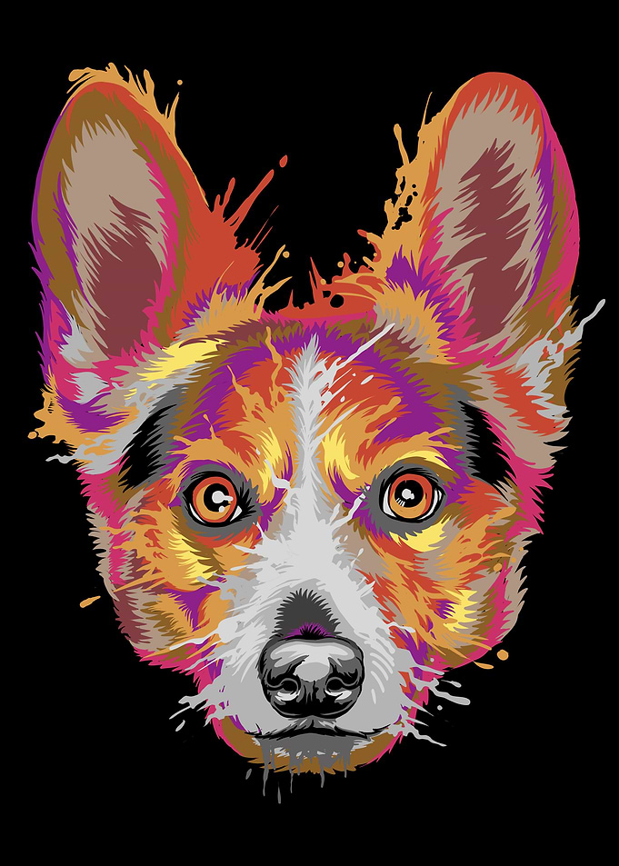 Welsh Corgi Splash