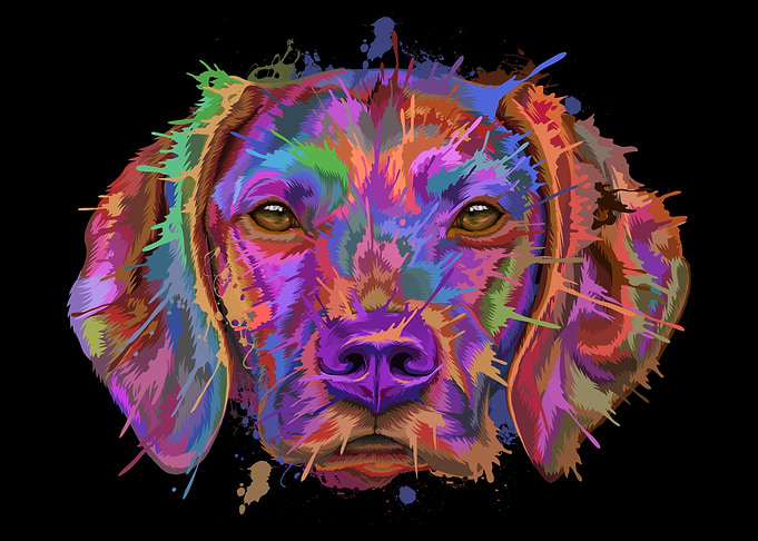 Vizsla Splash