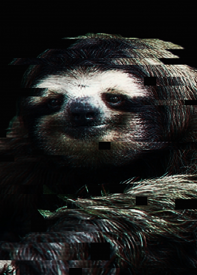 Glitched Sloth