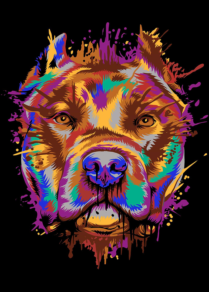 Pit bull Splash