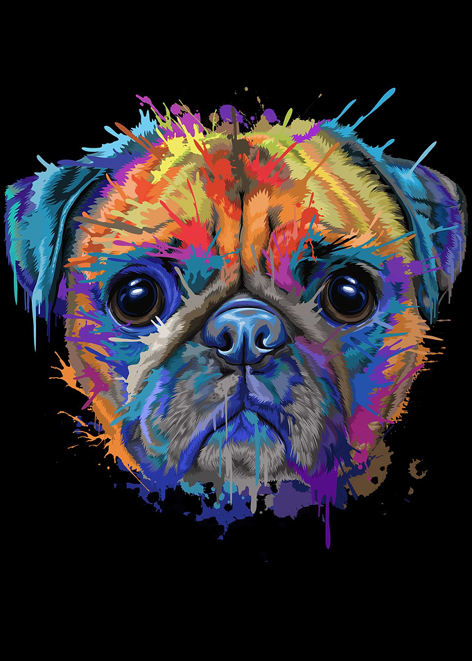 Pug Splash