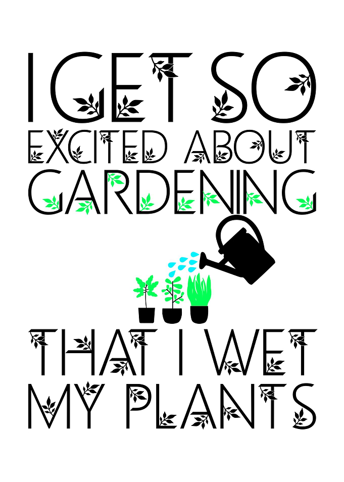 I Get So Excited About