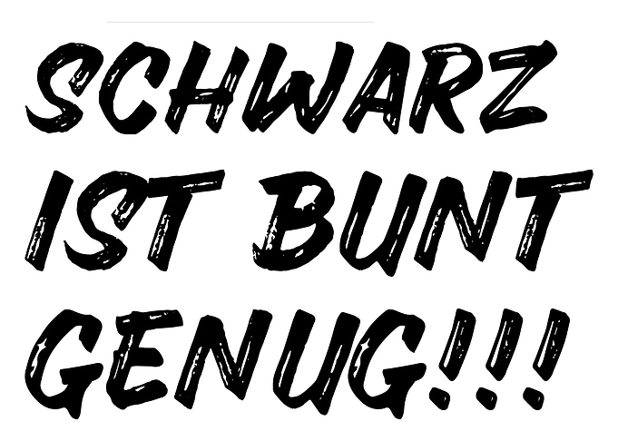 Schwarz ist Bunt Genug