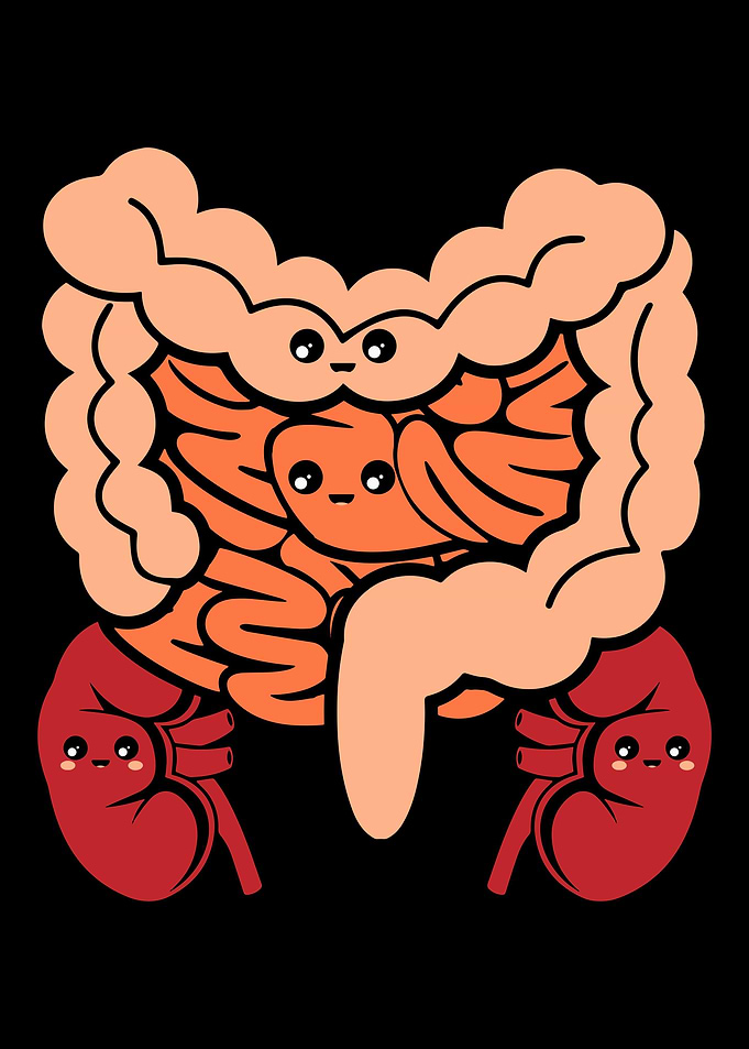 Cute Human Anatomy Body Pa