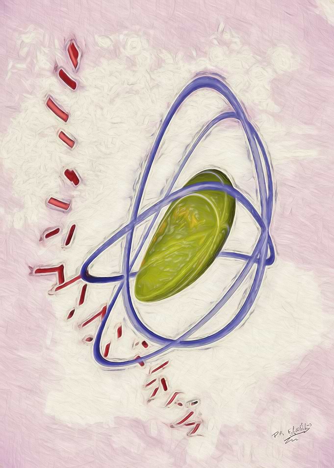 Destructuration nucleique