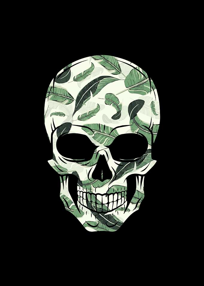 Beach Skull
