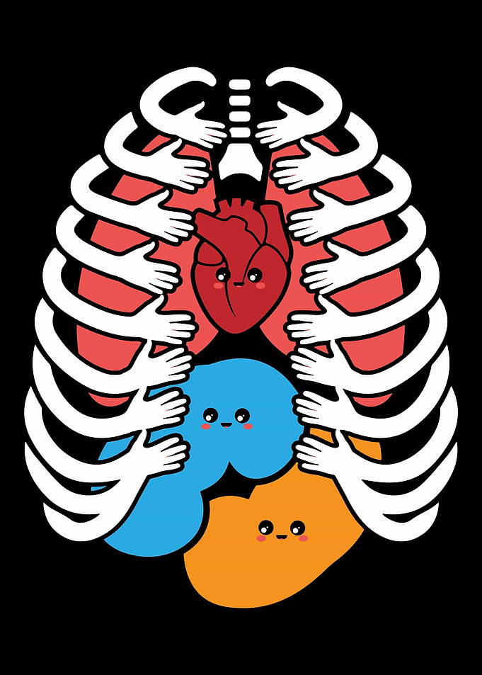 Cute Human Anatomy Body Pa