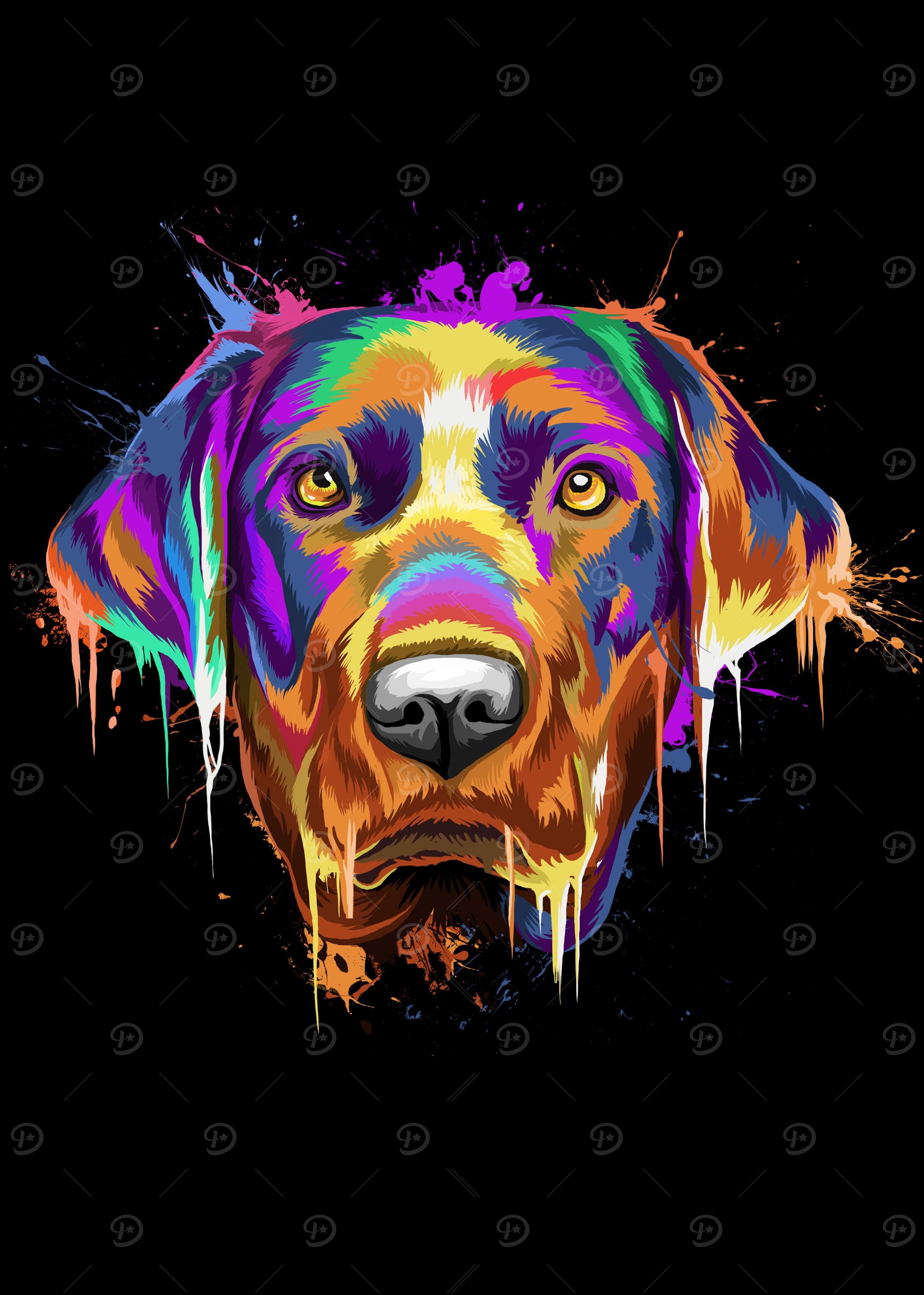 Labrador Retriever Splash