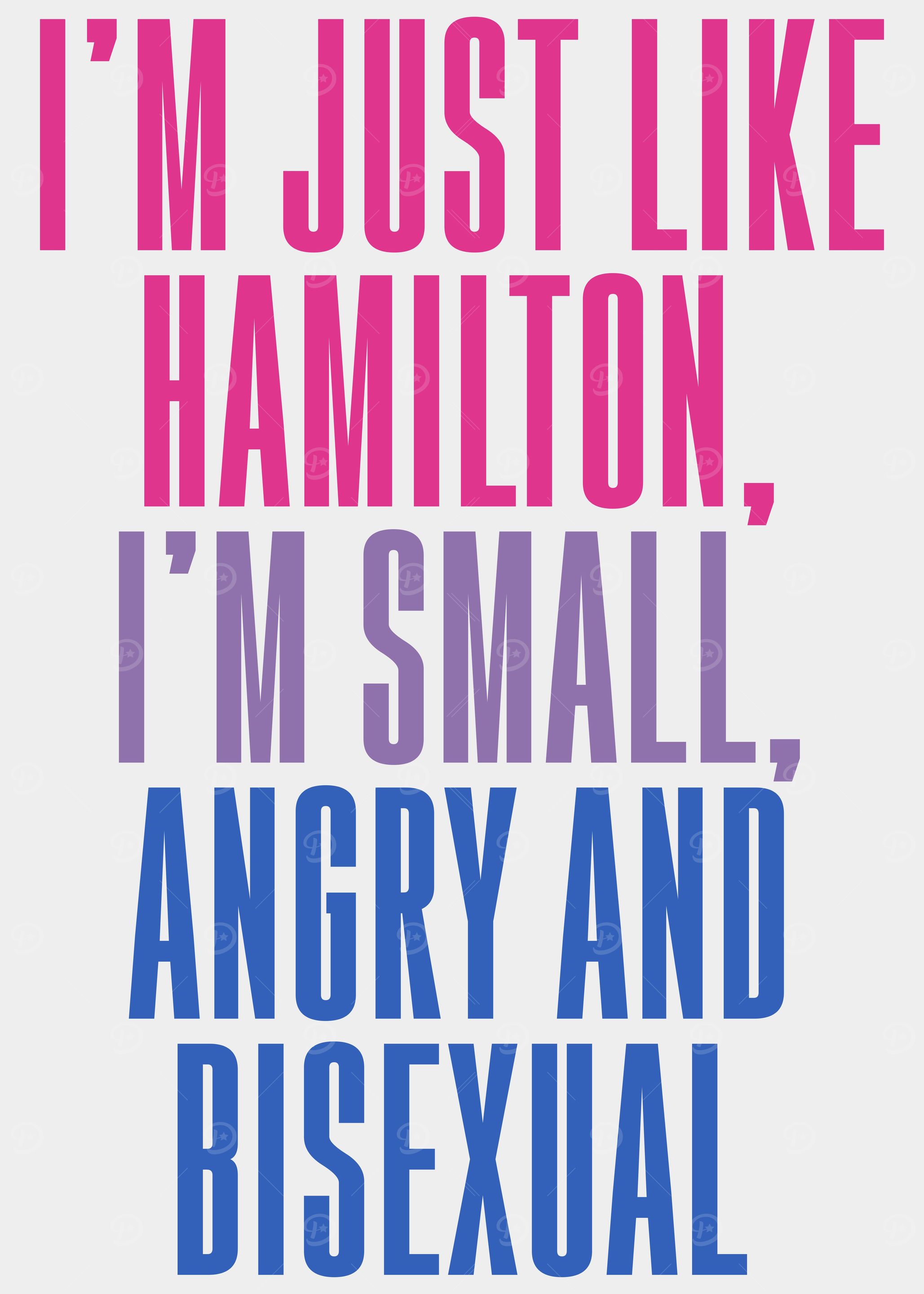 Just Like Hamilton
