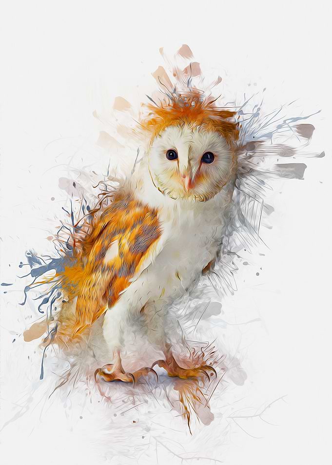 Barn Owl Painting