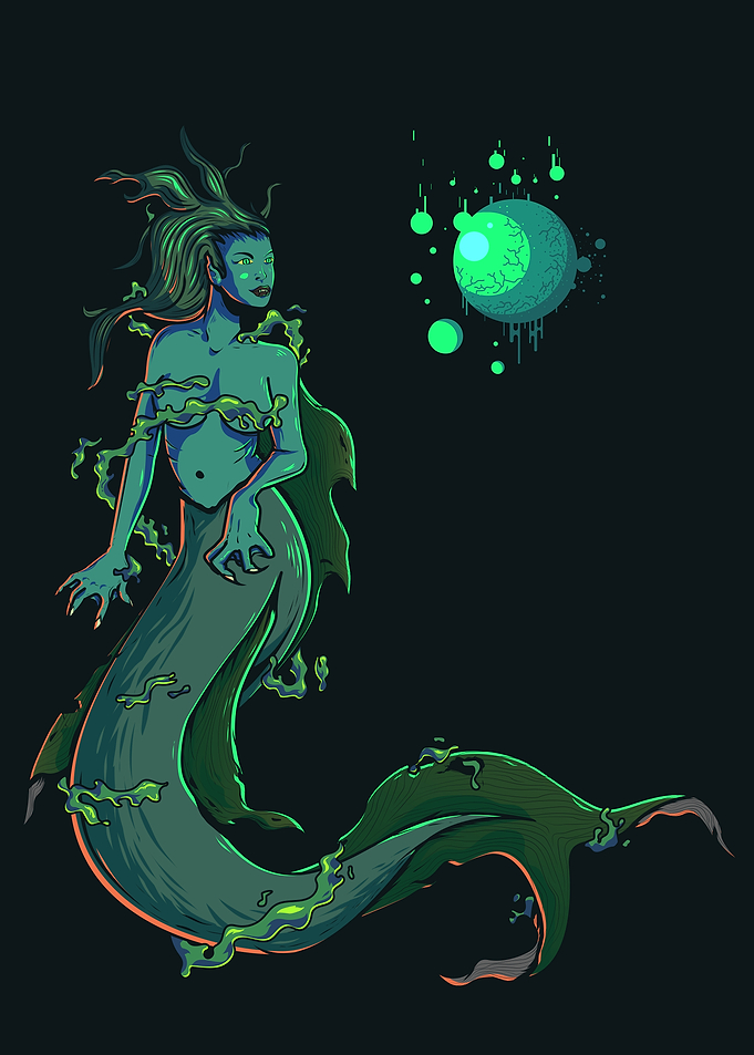 Curious Mermaid