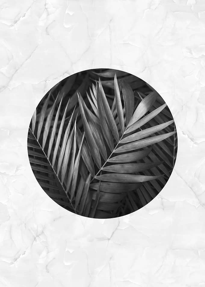 Botanical circle I