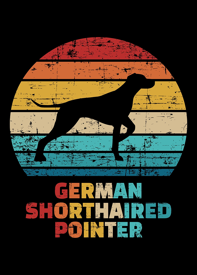 German Shorthaired Pointer