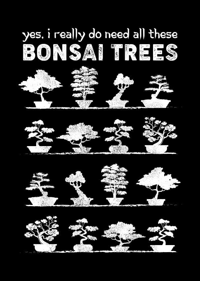 Bonsai Tree Care Penjing