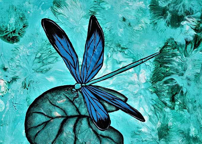 Dragonfly Blue