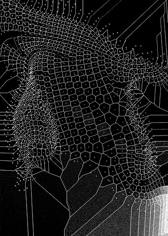 Voronoi Syndrome 02