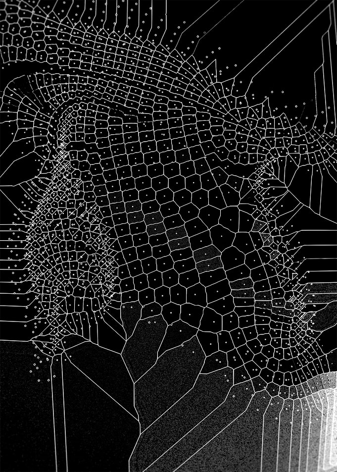 Voronoi Syndrome 02