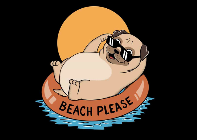 Dog Beach