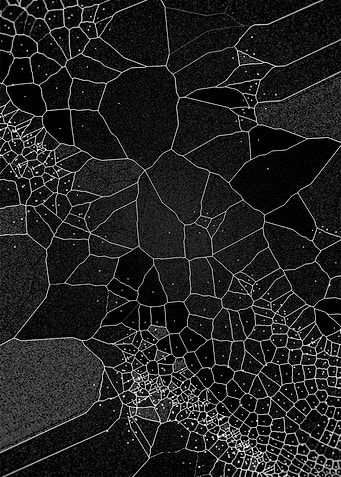 Voronoi Syndrome 10